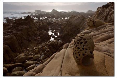 Tidepools and amazing formations at Salt Point.